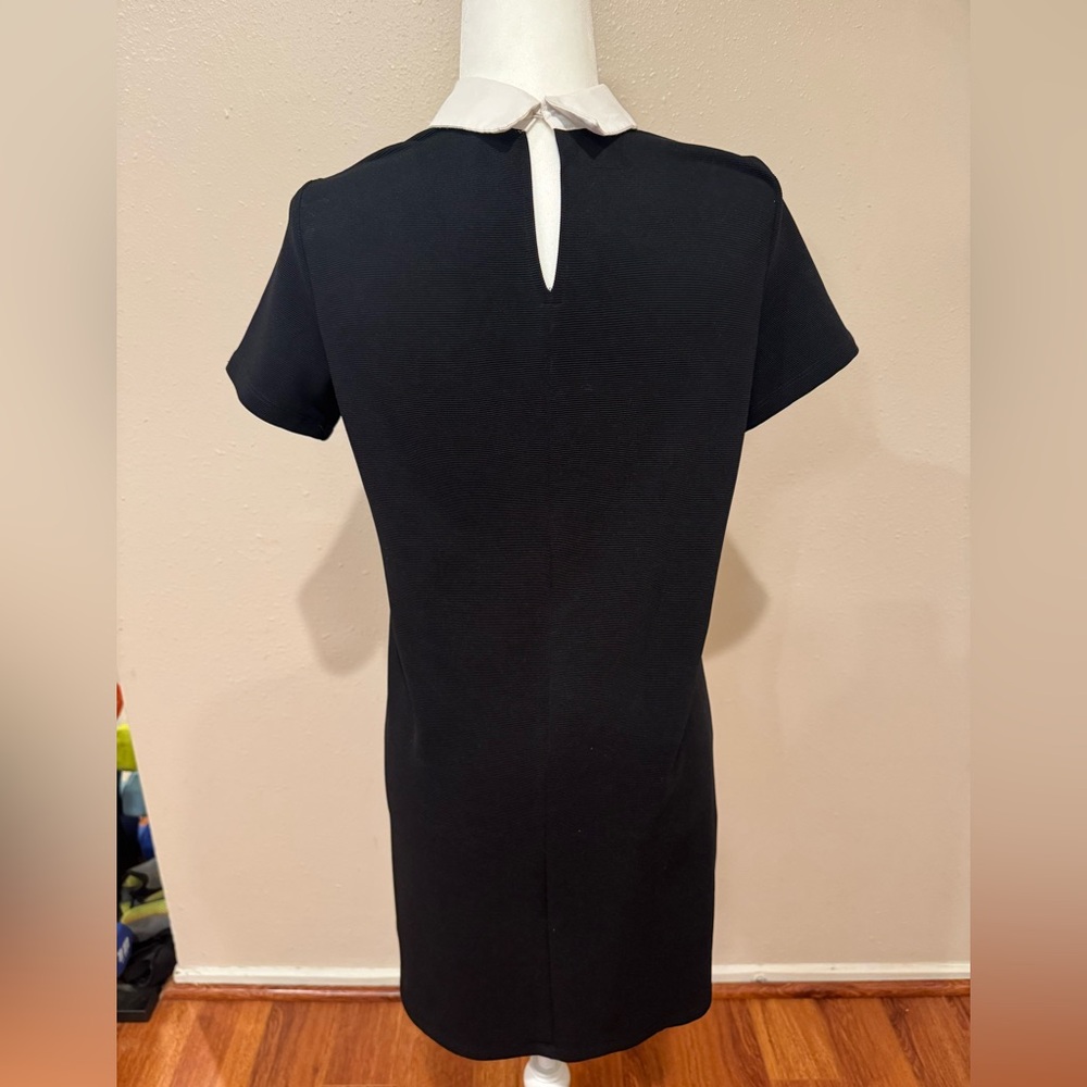 Zara Black Dress with White Collar - Picture 5 of 6